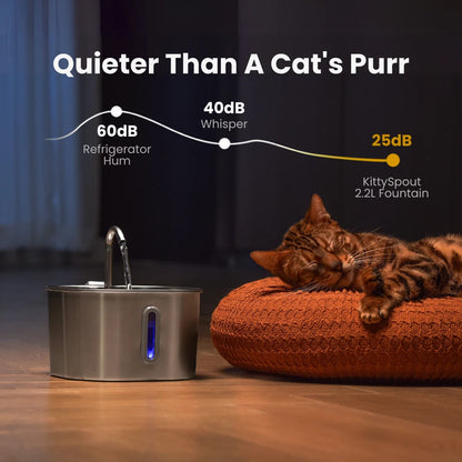 AquaStream™ Wireless Hydration Fountain