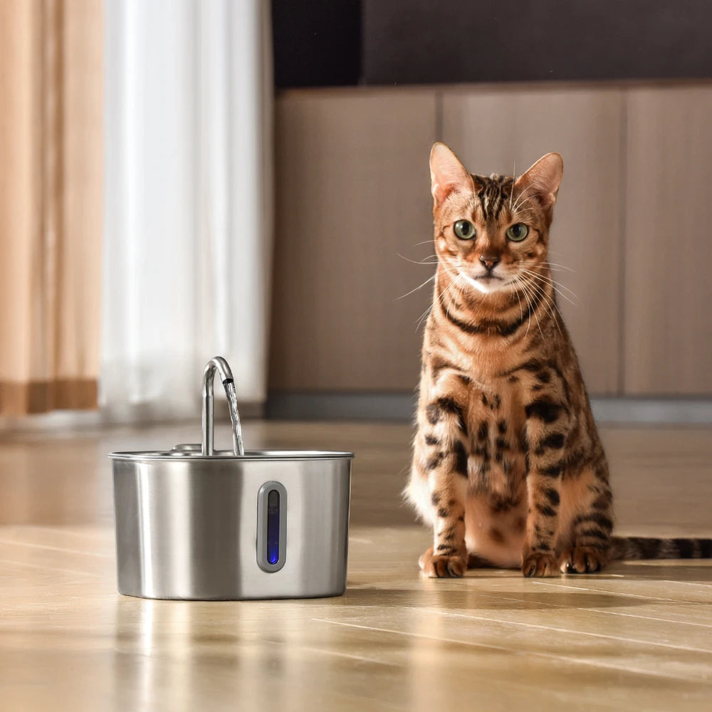 AquaStream™ Wireless Hydration Fountain