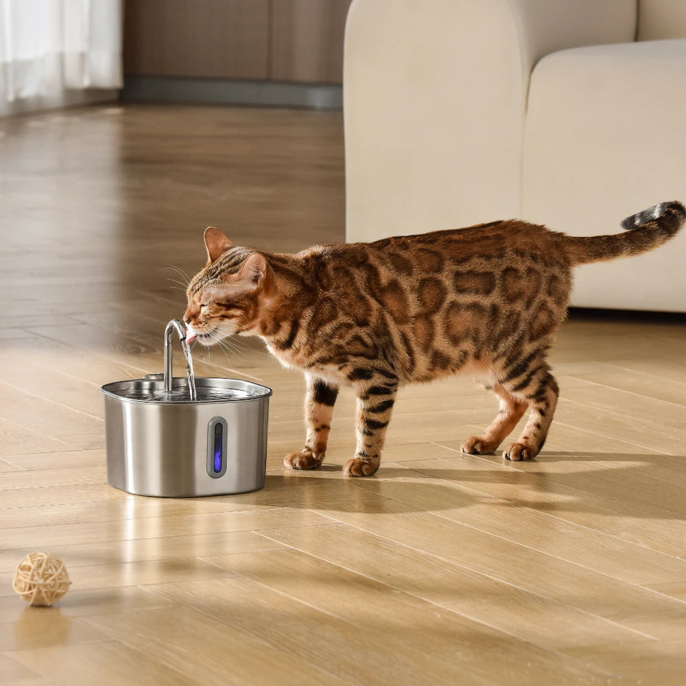 AquaStream™ Wireless Hydration Fountain