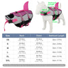 Shark Swim Dog Life Jacket