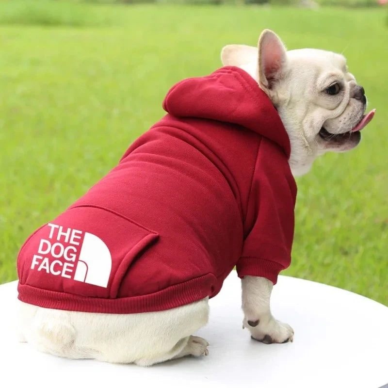 Warm Cotton Dog Hoodie