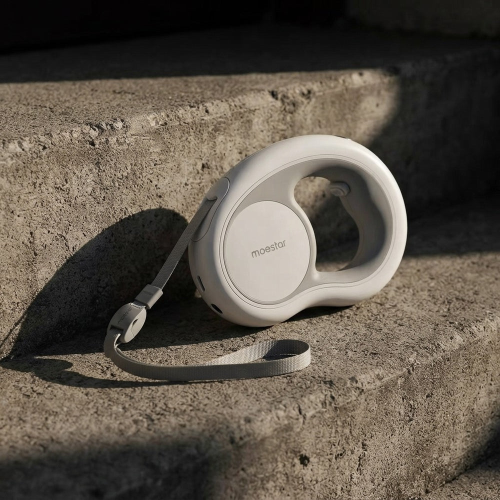 Retractable Illuminated Dog Leash